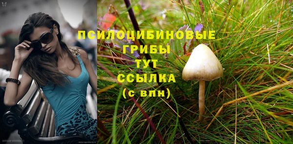 дмт Алексин